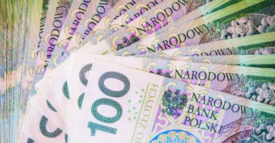 Prabuty z dofinansowaniem na kastrację i czipowanie kotów